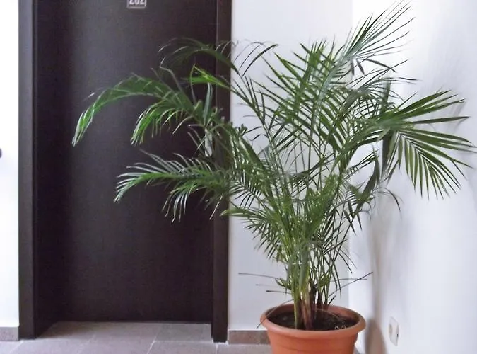 Отель Enchevi 2*